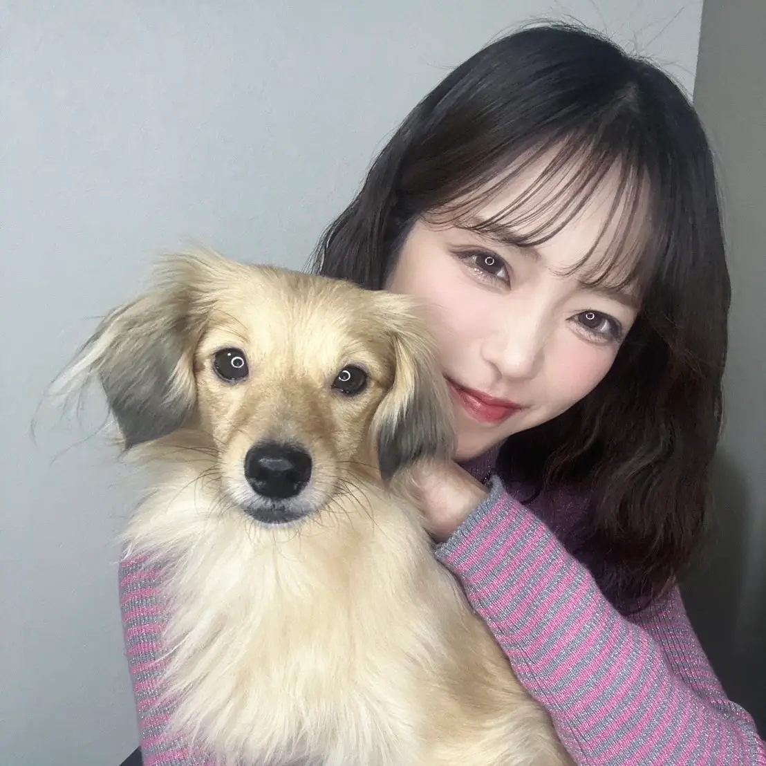 ちーず🧀🐶ྀི